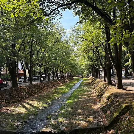 Aurora Lux * Vrnjačka Banja