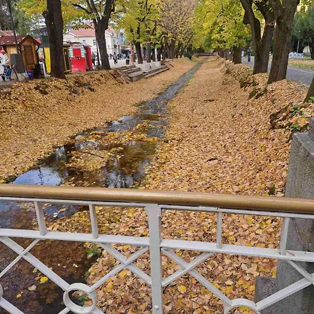 Appartement Aurora Lux *