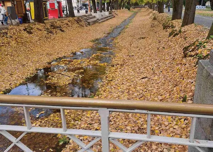 아파트 Aurora Lux *